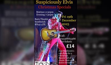 Suspiciously Elvis  Christmas Specials