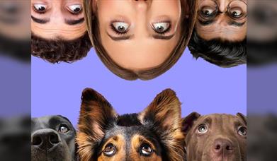 The Psychology of Dogs