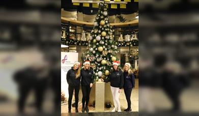 Christmas Light Switch-On at Shelter Hall