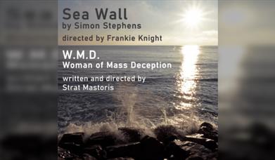 Sea Wall & W.m.d - Woman Of Mass Deception