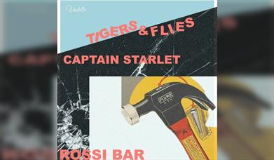 Tigers & Flies + Captain Starlet