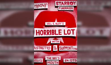 Starboy Fundraiser - Horrible Lot Headline