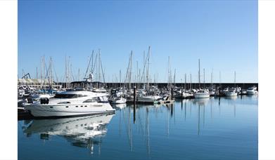 Boats at the Marina