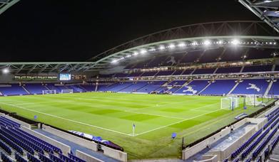 Brighton & Hove Albion v Crystal Palace match 