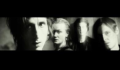 The Horrors