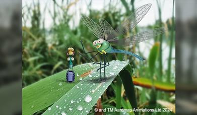 Lloyd of the Flies, Wetland Bug Hunt
