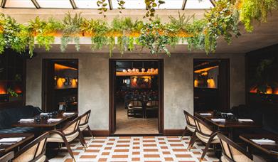 Bright, light seating area with foliage around the edge. 