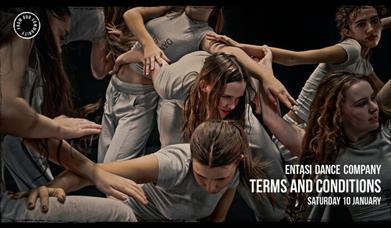 Entasi Dance Company: Terms and Conditions