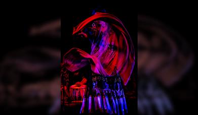 Mehfil-e-Rose Hill:'Cante Jondo'with Dunia Flamenco