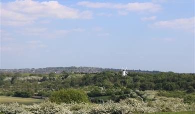 View from The Clubhouse