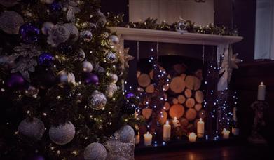 Hotel du Vin - xmas tree and logs in the fireplace