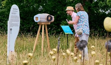 Seedscapes at Wakehurst