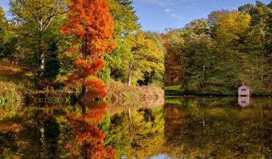 Wakehurst autumn