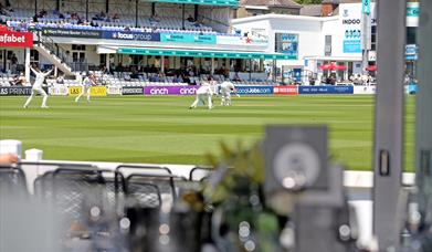 Sussex Cricket 