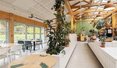 Bright and airy space inside with plants in One Kitchen