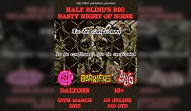 Half Blinds Big Nasty Night of Noise