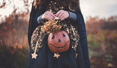 Young girl in witch costume holding a pumpkin container with flowers