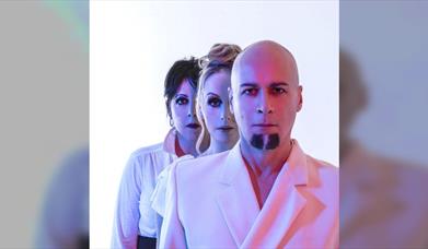 The Human League