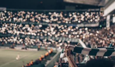 Fan holding green and white scarf at football game