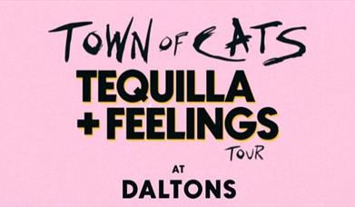 Town of Cats: Tequila + Feelings