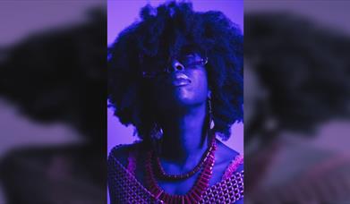 Live Music at Lost in the Lanes