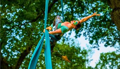 Wanderwild Wakehurst