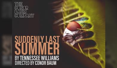 Suddenly Last Summer