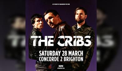 The Cribs