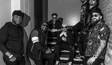 The Dualers
