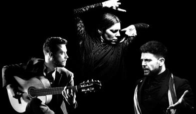Daniel Martinez - Art of Andalucia