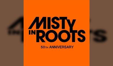 Misty In Roots