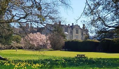 Sussex Day