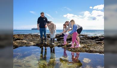 The Rock Pool Project: Bioblitz Battle