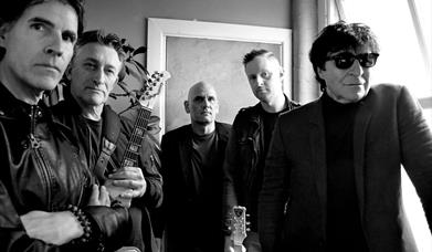 The Chameleons