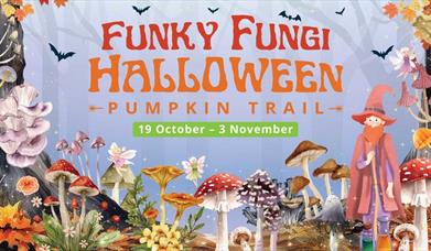 Funky Fungi Halloween Pumpkin Trail at Leonardslee Gardens