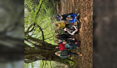 Forest Bathing
