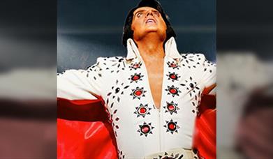 A Vision of Elvis