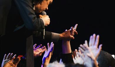 Nick Cave