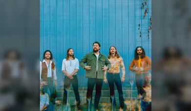 The Sheepdogs