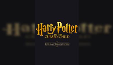 Harry Potter and The Cursed Child