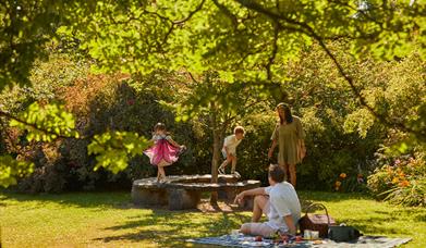 The Woods of Wonder - Summer Trail at Borde Hill