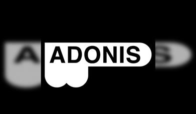 Adonis - Day Into Night: Nyra, Shay Malt + More