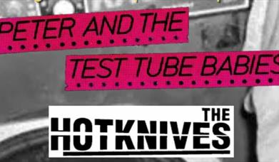 PETER AND THE TEST TUBE BABIES