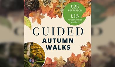 Autumn Guided Walks