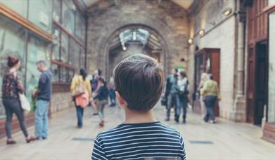 Child looking around a museum