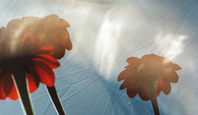 The Craft of the Gardener