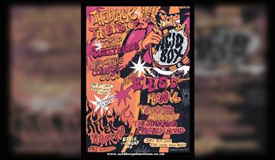 Acid Box Birthday Party- The Black Tambourines