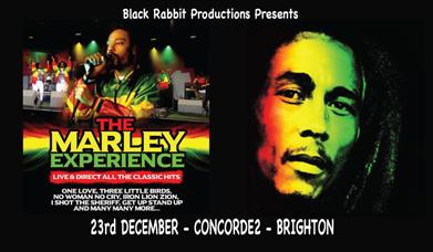 The Marley Experience