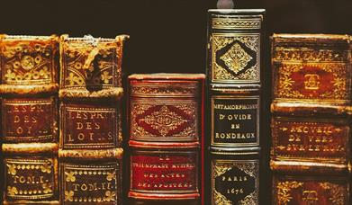 Collection of old historic books