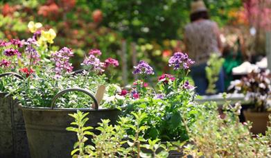 Specialist Spring Plant Fair